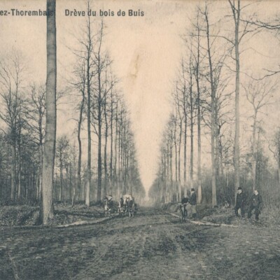 Thorembais-Saint-Trond - Drève Bois de Buis (chaussée de Charleroi)- Avant la Première Guerre mondiale Thorembais-Saint-Trond - Drève Bois de Buis (chaussée de Charleroi)- Avant la Première Guerre mondiale